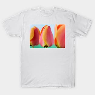 Tulipa  &#39;Apeldoorn&#39;s Elite&#39;   Darwin Hybrid Group  Tulip T-Shirt